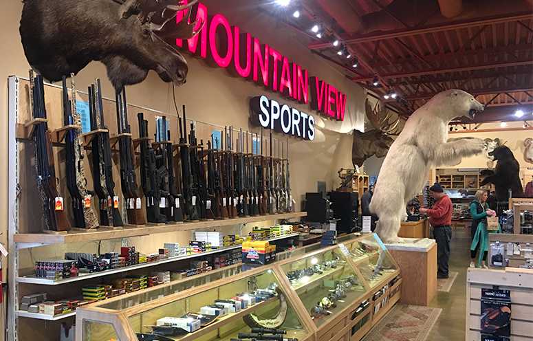 Mountain View Sports - interior