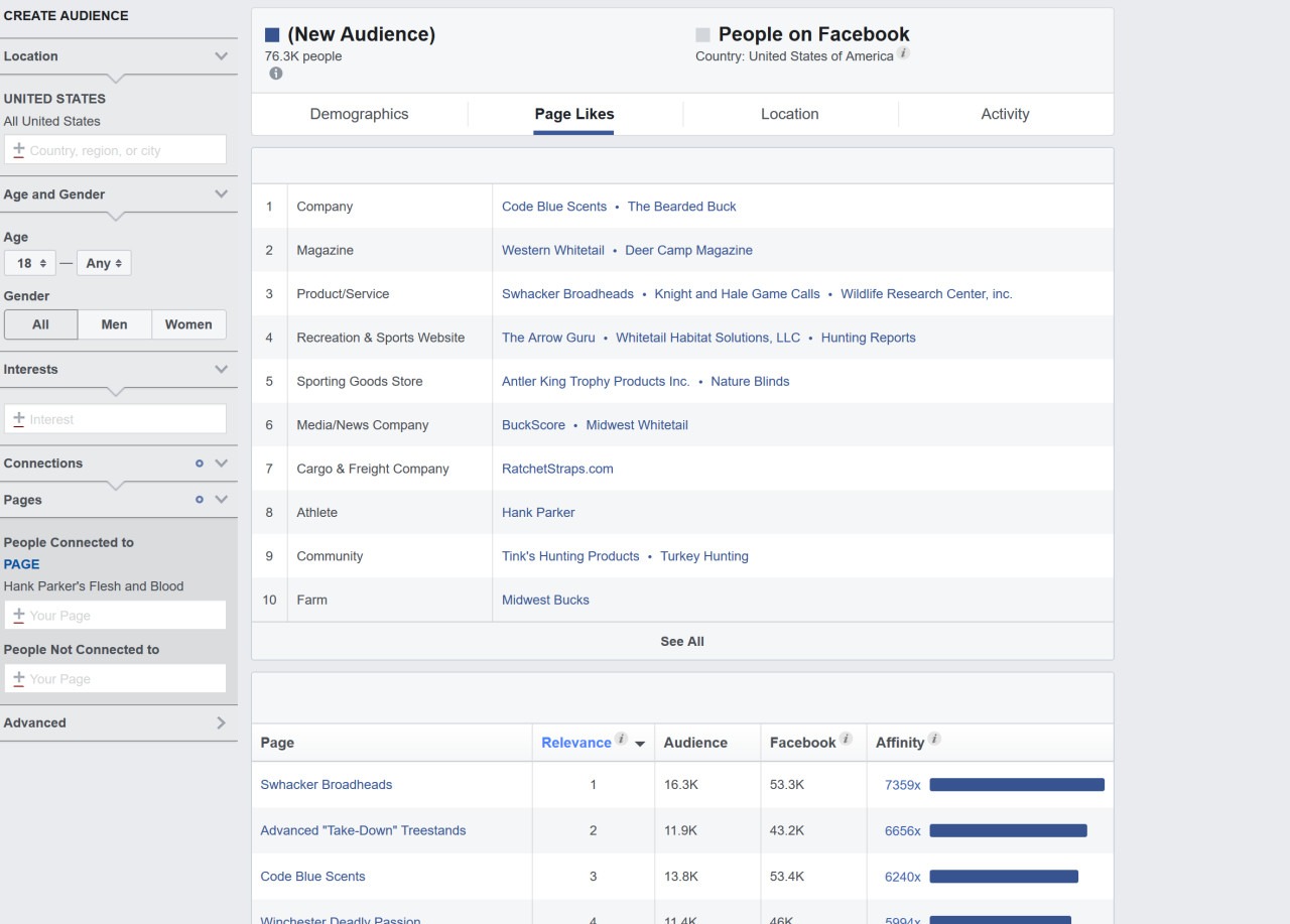 Audience Insights- Facebook Page Strategy