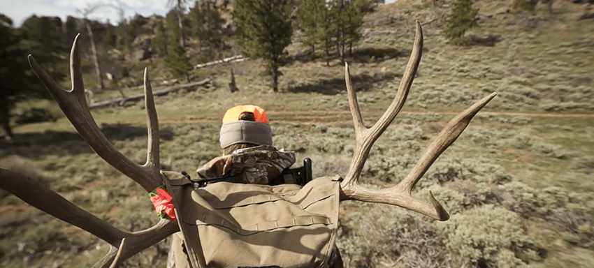 Wyoming Hunt