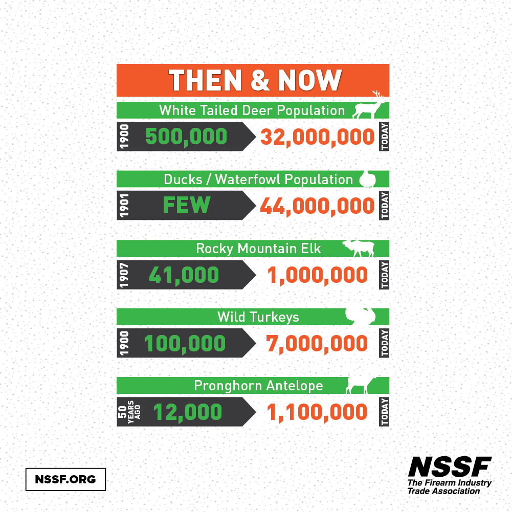 Wildlife Populations then and now
