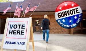 GUNVOTE