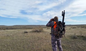 MSR Hunt