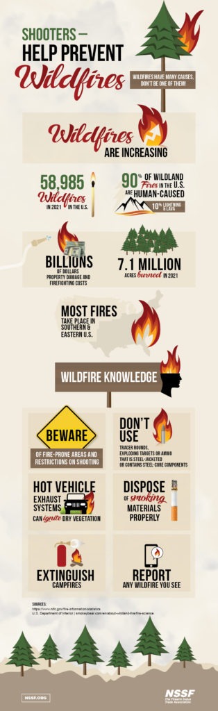 Wildfire Infographic