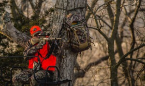 Deer Hunting