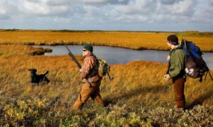 1.3 billion for wildlife conservation