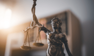 Court Shopping
