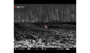 thermal scope hunting coyote