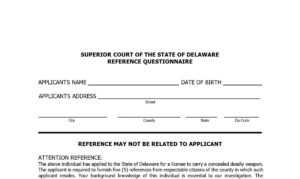 Superior Court Delaware