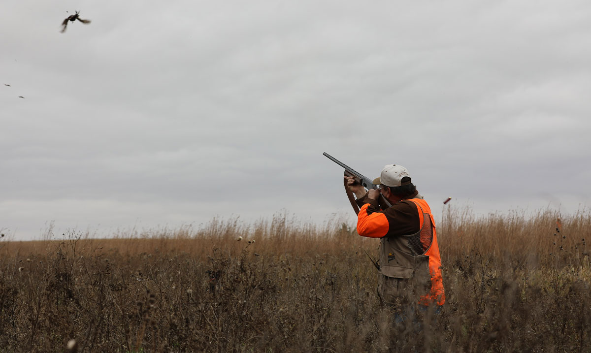 rhoden upland hunting